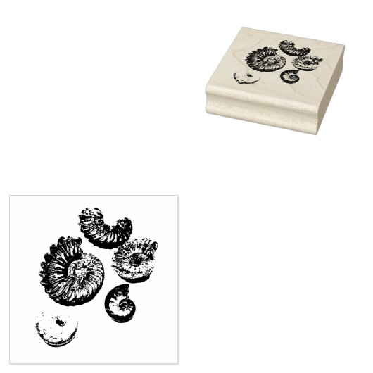 Gemischte Fossilien Gummistempel (Stempel)