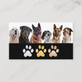 Gemischte Hunderassen | Tierpflege Visitenkarte (Vorderseite)