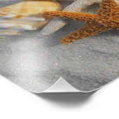 Gemischte Muscheln und Starfish am weißen Sandstra Fotodruck (Ecke)