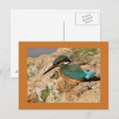 Gemischteich Postkarte (Vorne/Hinten)