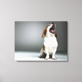 Gemischter Hund gähnend Leinwanddruck