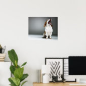 Gemischter Hund gähnend Poster (Heimbüro)