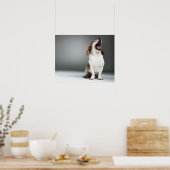 Gemischter Hund gähnend Poster (Küche)