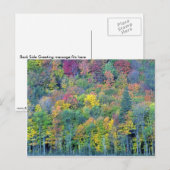 Gemischter Laubwald, Gatineau Park, Quebec, Cana Postkarte (Vorne/Hinten)