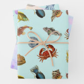 Gemischter Meeresfisch, Muscheln, Krebse, Quallen Geschenkpapier Set (Beispiel)