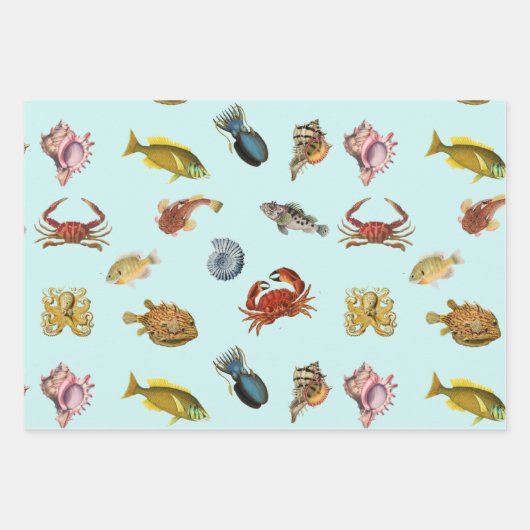Gemischter Meeresfisch, Muscheln, Krebse, Quallen Geschenkpapier Set (Vorderseite)