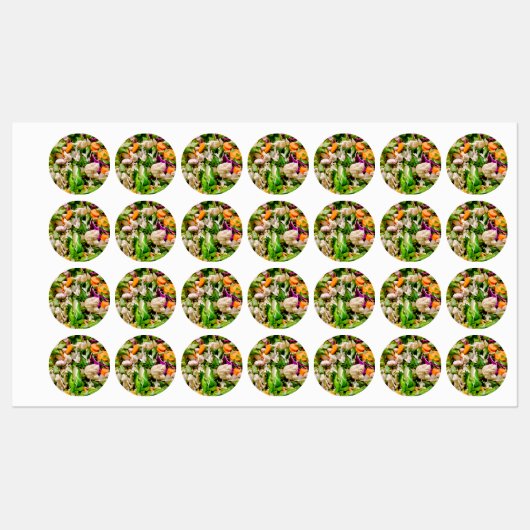 Gemischter Salat Etiketten (Blatt)