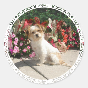 Gemischter Terrier-Rasse-Rettungshund Runder Aufkleber