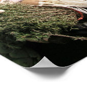 Gemischtes Gemüse Poster (Ecke)