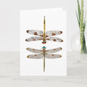 Gemischtes Paar von Prinz Baskettail Dragonflies Karte