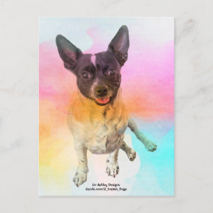 Gemma Disco-Postkarte Postkarte