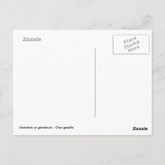 Gemsbok-Weide Postkarte (Rückseite)