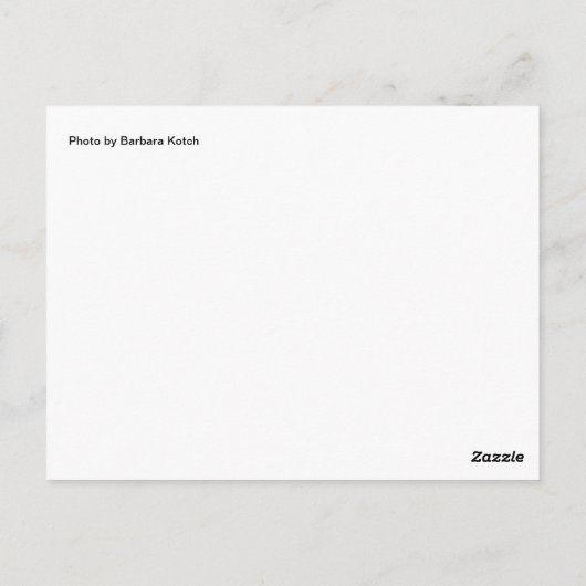 Gemstone Mix Postkarte (Rückseite)