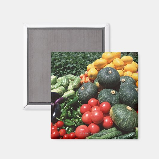 Gemüse 2 magnet (Vorderseite/Rückseite)