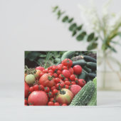 Gemüse 4 postkarte (Stehend Vorderseite)