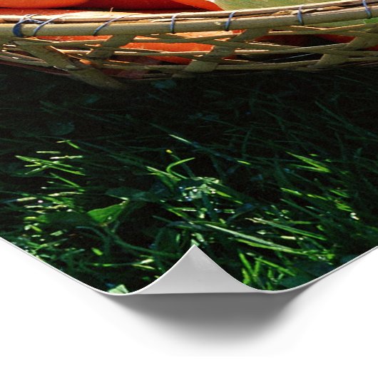 Gemüse 5 poster (Ecke)