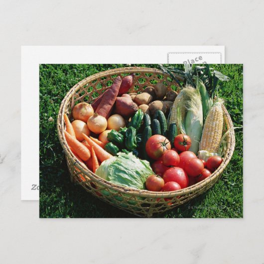 Gemüse 5 postkarte (Vorne/Hinten)