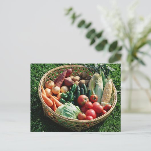 Gemüse 5 postkarte (Stehend Vorderseite)