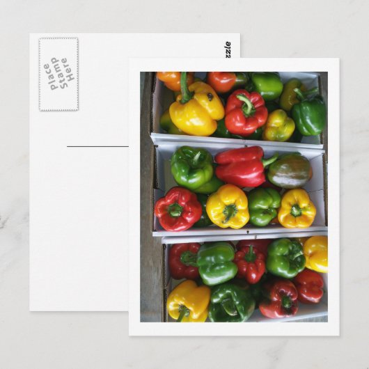 Gemüse auf dem Markt von Amish Postkarte (Vorne/Hinten)