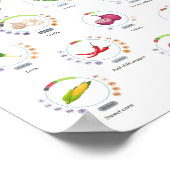 Gemüse - Nährwerte - Infografik Poster (Ecke)