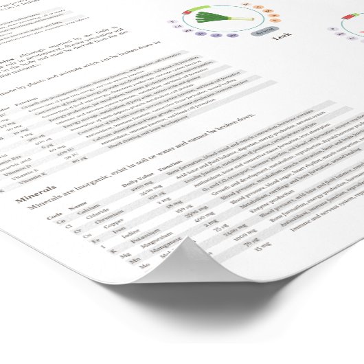 Gemüse - Nährwerte - Infografik Poster (Ecke)