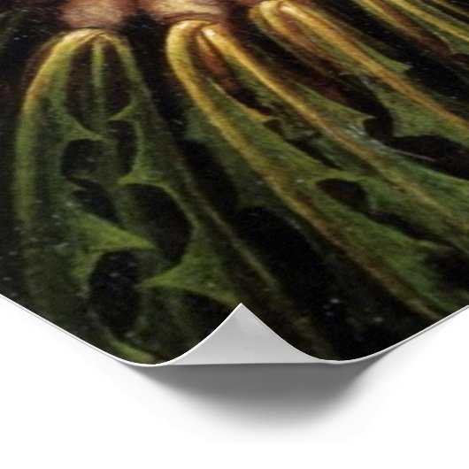 Gemüse Poster (Ecke)