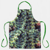 Gemüse Schürze (Vorderseite)