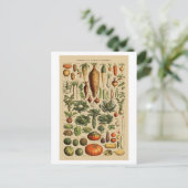 Gemüse Vintage französische Buchseite Postkarte (Stehend Vorderseite)