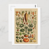 Gemüse Vintage französische Buchseite Postkarte (Vorne/Hinten)