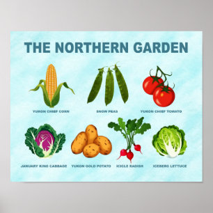 Gemüsegarten Poster