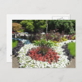 Gemüsegarten Postkarte (Vorne/Hinten)