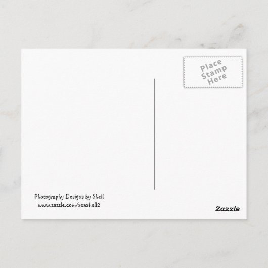 Gemüsegarten Postkarte (Rückseite)