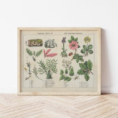 Gemüsehandel | Charlotte Mary Yonge Poster