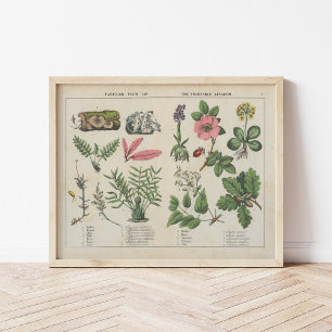 Gemüsehandel   Charlotte Mary Yonge Poster