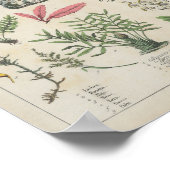 Gemüsehandel | Charlotte Mary Yonge Poster (Ecke)