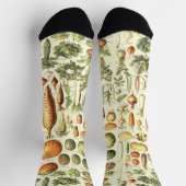 Gemüsematerial Socken - Gesunde Ernährung Kunst (Oben)