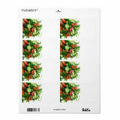 Gemüsesalat (Vorne)