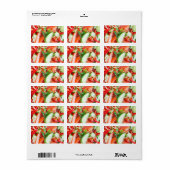 Gemüsesalat Adressaufkleber (Vorne)