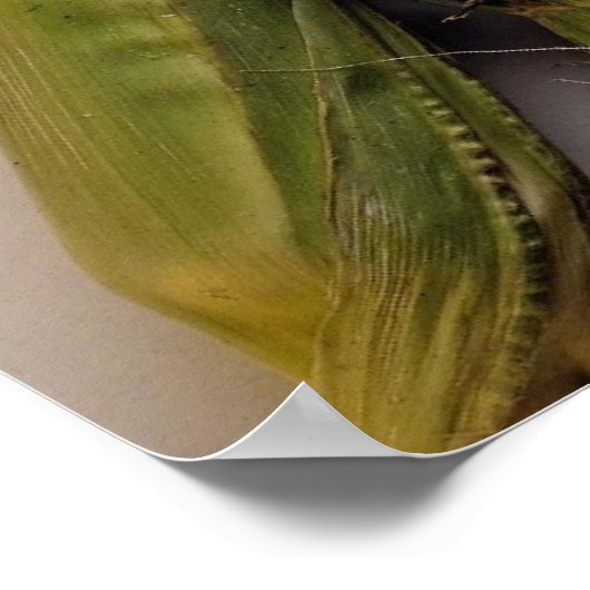 Gemüsesalat, Salatplatte Poster (Ecke)