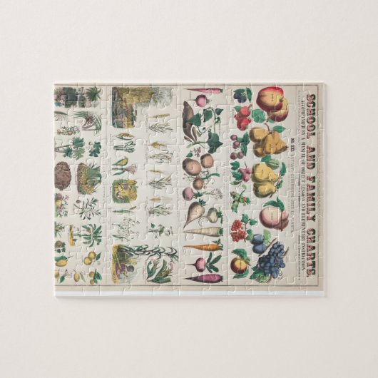 Gemüseschule und Familienplan Puzzle (Horizontal)