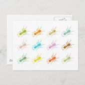 Gemusterte Ameisen Postkarte (Vorne/Hinten)