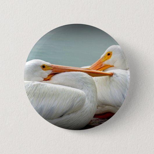 Gemütlich Pelikane Button (Vorderseite)