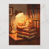 Gemütliche Bibliothekskatze Postkarte - Geschenk f (Vorderseite)
