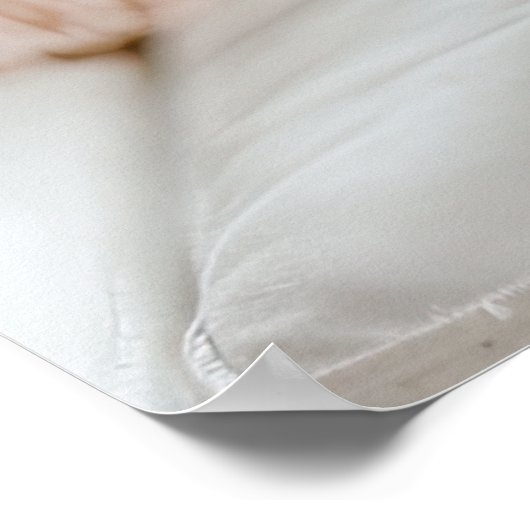 Gemütliche Eleganz: Malteser auf dem Sofa Poster (Ecke)