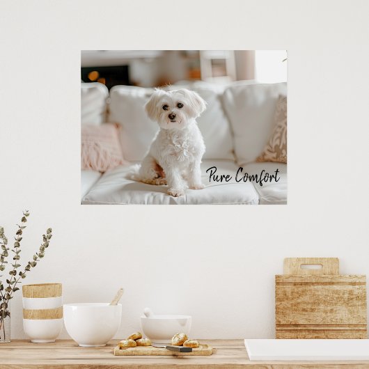 Gemütliche Eleganz: Malteser auf dem Sofa Poster (Küche)