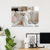 Gemütliche Eleganz: Malteser auf dem Sofa Poster (Heimbüro)