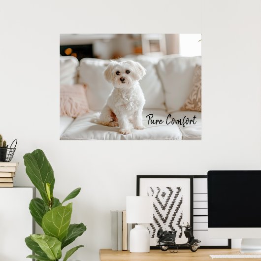 Gemütliche Eleganz: Malteser auf dem Sofa Poster (Heimbüro)
