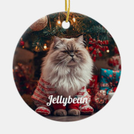 Gemütliche Exotic Kurzfristige Katze Weihnachten P Keramik Ornament