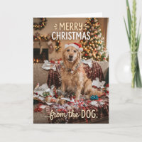 Gemütliche Golden Retriever Weihnachtskarte
