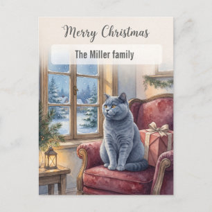 Gemütliche graue Katze Winterfenster Weihnachten